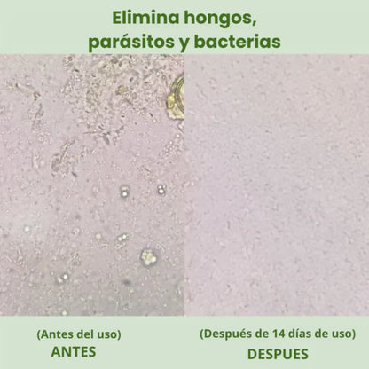 Vitalora OregaMix – Aceite de Orégano Potenciado